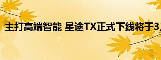 主打高端智能 星途TX正式下线将于3月上市