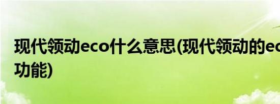 现代领动eco什么意思(现代领动的eco是什么功能)