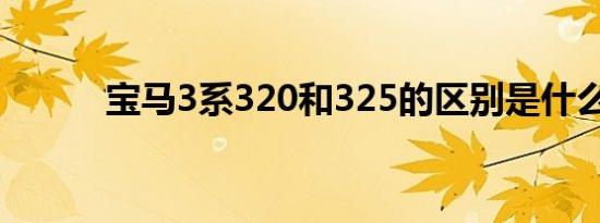 宝马3系320和325的区别是什么