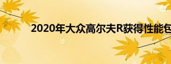 2020年大众高尔夫R获得性能包