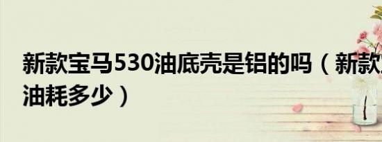 新款宝马530油底壳是铝的吗（新款宝马530油耗多少）