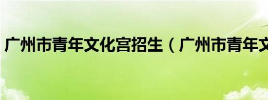 广州市青年文化宫招生（广州市青年文化宫）