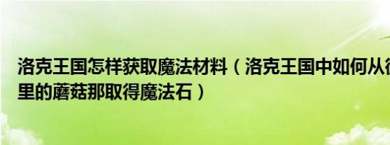 洛克王国怎样获取魔法材料（洛克王国中如何从微光实验室里的蘑菇那取得魔法石）