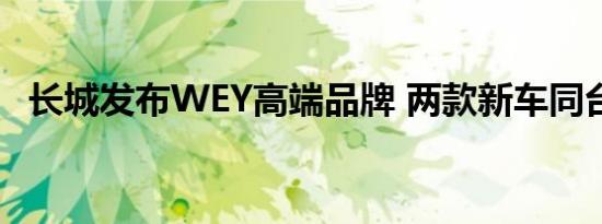 长城发布WEY高端品牌 两款新车同台亮相