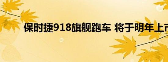 保时捷918旗舰跑车 将于明年上市 