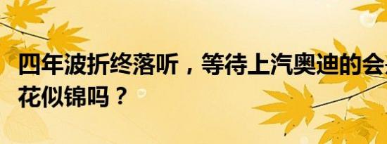 四年波折终落听，等待上汽奥迪的会是一路繁花似锦吗？