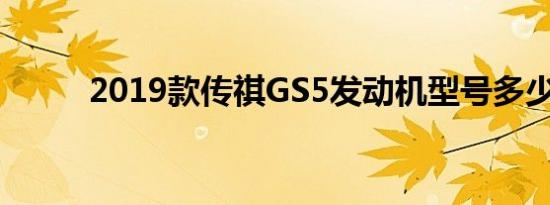 2019款传祺GS5发动机型号多少 