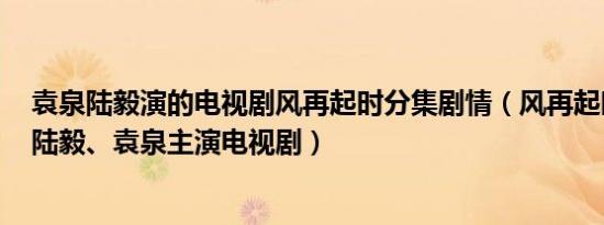 袁泉陆毅演的电视剧风再起时分集剧情（风再起时 2018年陆毅、袁泉主演电视剧）