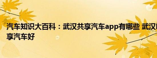 汽车知识大百科：武汉共享汽车app有哪些 武汉哪款app共享汽车好