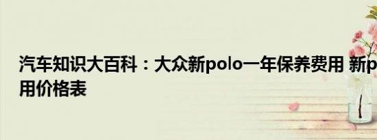 汽车知识大百科：大众新polo一年保养费用 新polo保养费用价格表