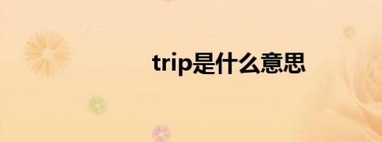 trip是什么意思