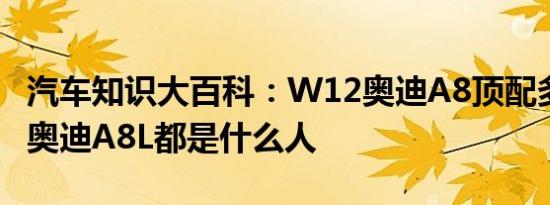 汽车知识大百科：W12奥迪A8顶配多少钱 开奥迪A8L都是什么人