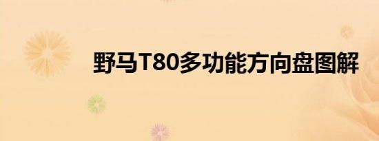 野马T80多功能方向盘图解