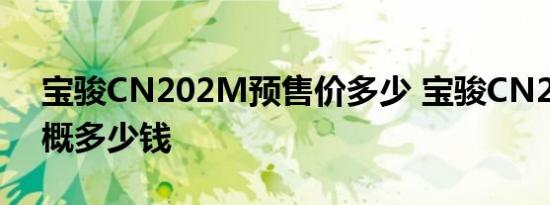 宝骏CN202M预售价多少 宝骏CN202M大概多少钱 