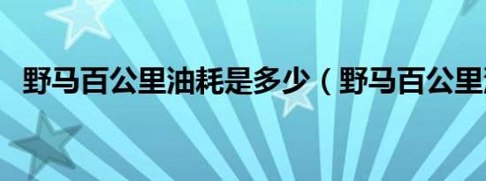 野马百公里油耗是多少（野马百公里油耗）