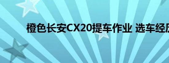 橙色长安CX20提车作业 选车经历