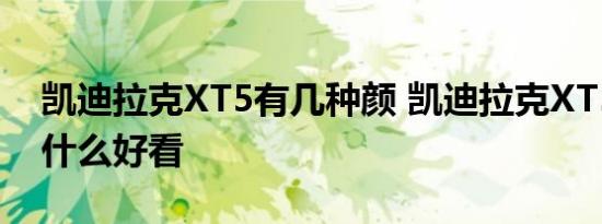 凯迪拉克XT5有几种颜 凯迪拉克XT5颜色选什么好看