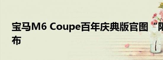 宝马M6 Coupe百年庆典版官图“限量”发布