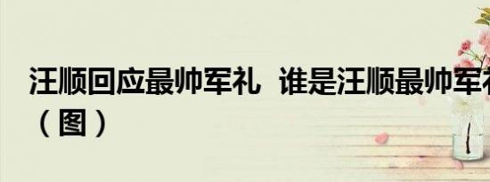 汪顺回应最帅军礼  谁是汪顺最帅军礼什么样（图）