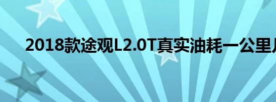 2018款途观L2.0T真实油耗一公里几毛