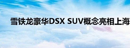 雪铁龙豪华DSX SUV概念亮相上海车展