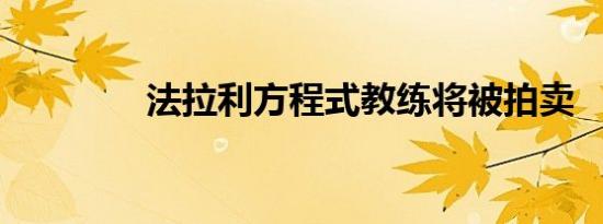 法拉利方程式教练将被拍卖