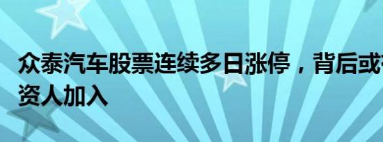 众泰汽车股票连续多日涨停，背后或有神秘投资人加入