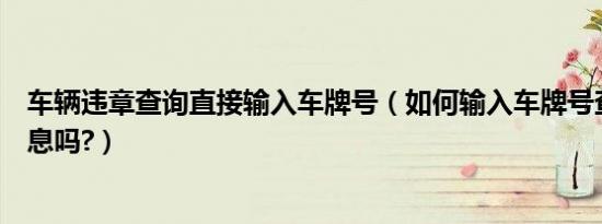 车辆违章查询直接输入车牌号（如何输入车牌号查询车辆信息吗?）