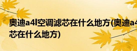 奥迪a4l空调滤芯在什么地方(奥迪a4l空调滤芯在什么地方)