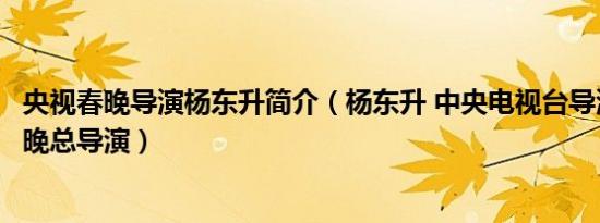 央视春晚导演杨东升简介（杨东升 中央电视台导演、央视春晚总导演）