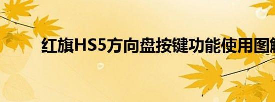 红旗HS5方向盘按键功能使用图解