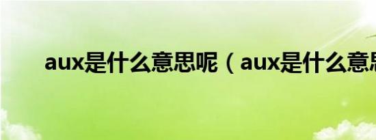 aux是什么意思呢（aux是什么意思）