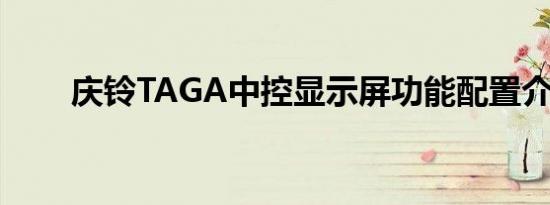 庆铃TAGA中控显示屏功能配置介绍