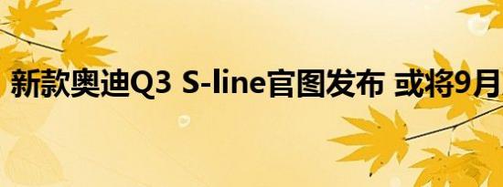 新款奥迪Q3 S-line官图发布 或将9月底首发