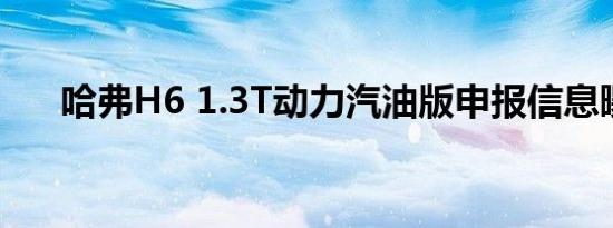 哈弗H6 1.3T动力汽油版申报信息曝光