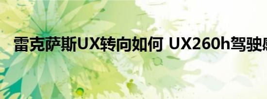 雷克萨斯UX转向如何 UX260h驾驶感受如何 