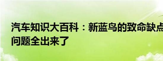 汽车知识大百科：新蓝鸟的致命缺点 新蓝鸟问题全出来了