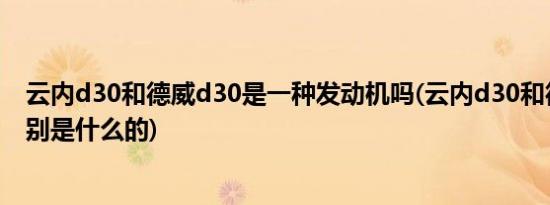 云内d30和德威d30是一种发动机吗(云内d30和德威d30区别是什么的)