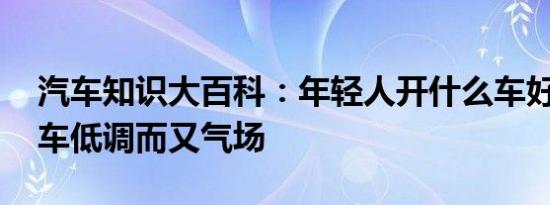 汽车知识大百科：年轻人开什么车好 开什么车低调而又气场