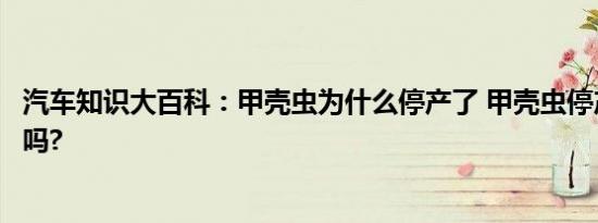 汽车知识大百科：甲壳虫为什么停产了 甲壳虫停产了建议买吗?