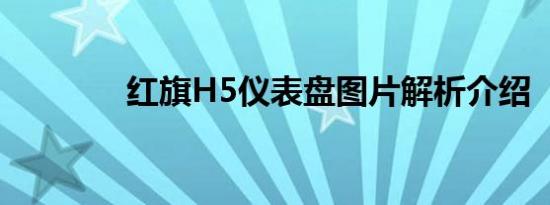 红旗H5仪表盘图片解析介绍