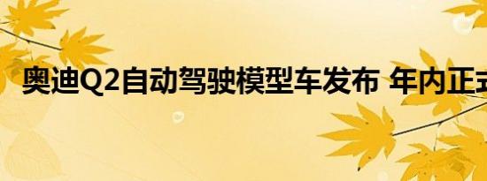 奥迪Q2自动驾驶模型车发布 年内正式亮相