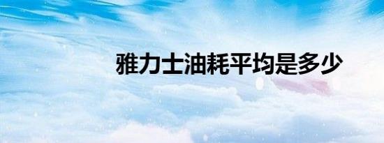 雅力士油耗平均是多少