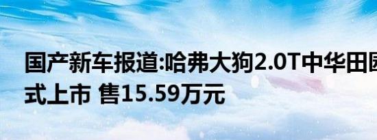 国产新车报道:哈弗大狗2.0T中华田园犬版正式上市 售15.59万元