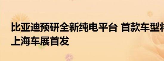 比亚迪预研全新纯电平台 首款车型将于明年上海车展首发