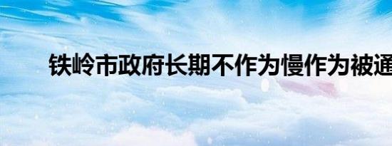 铁岭市政府长期不作为慢作为被通报