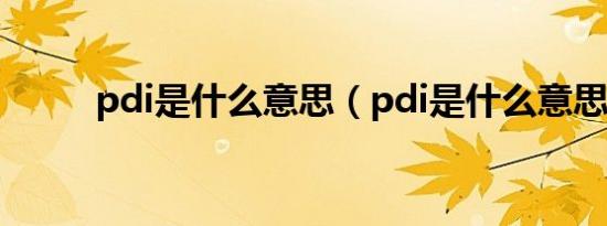 pdi是什么意思（pdi是什么意思）