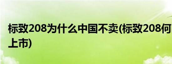 标致208为什么中国不卖(标致208何时在中国上市)