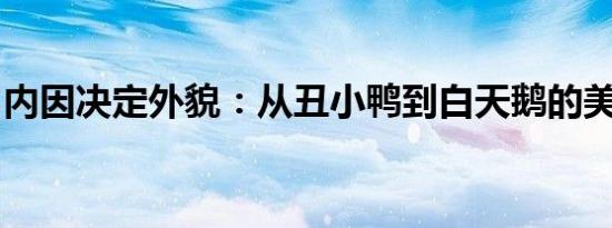 内因决定外貌：从丑小鸭到白天鹅的美容秘方