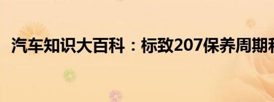 汽车知识大百科：标致207保养周期和费用